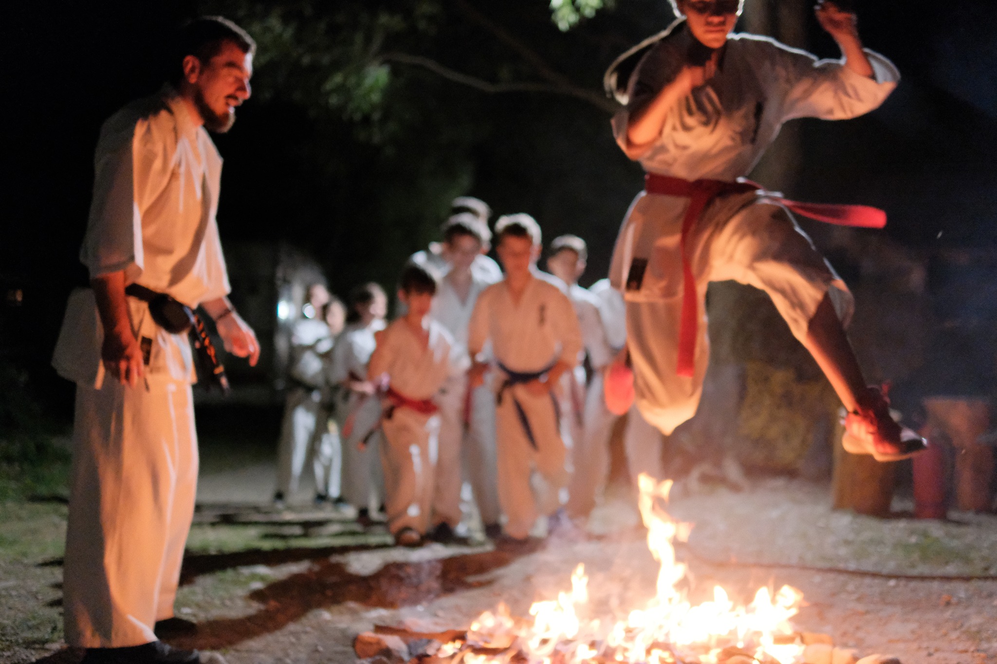 Dragonii se trezesc înaintea lumii