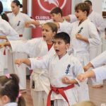 Examen de Grad – 08.11.2025