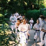 Drumul (călătoria!) către Dojo: acel spațiu de timp unde începe transformarea