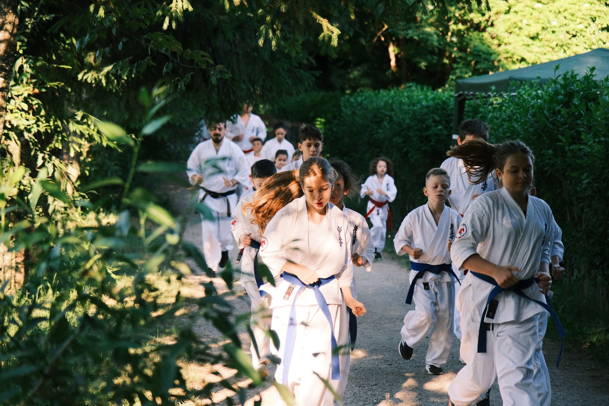 Drumul (călătoria!) către Dojo: acel spațiu de timp unde începe transformarea